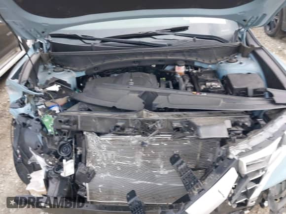 2024 Hyundai Santa Cruz SEL с VIN 5NTJB4DE2RH118287, выставлен на аукционе IAAI как лот 42595649 с пробегом 19 036 миль миль и . История ставок и продаж доступна на DreamBid. Изображение 10.