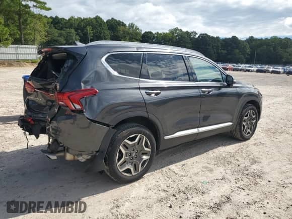 2021 Hyundai Santa Fe Limited with VIN 5NMS4DAL9MH342744, listed as a Copart auction lot 69919395 with 58,256 mi miles and Salvage title. Bid and sale history available at DreamBid. Image 3.