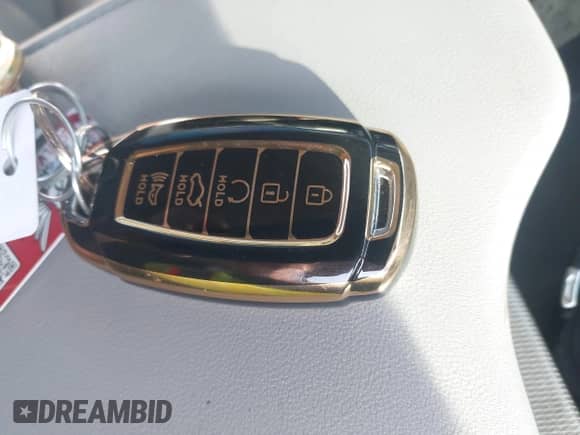 2020 Hyundai Palisade SEL with VIN KM8R34HE1LU138001, listed as a IAAI auction lot 43252112 with 105,955 mi miles and . Bid and sale history available at DreamBid. Image 11.