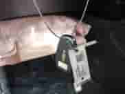 2025 Chevrolet Blazer RS with VIN 3GNKBERS7SS103231, listed as a IAAI auction lot 42860289 with 5,063 mi miles and . Bid and sale history available at DreamBid. Image 11.