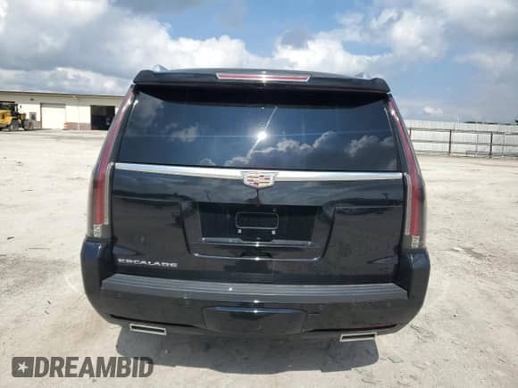 2016 Cadillac Escalade Platinum with VIN 1GYS4DKJ5GR310994, listed as a Copart auction lot 84371145 with 124,287 mi miles and Clean title. Bid and sale history available at DreamBid. Image 6.