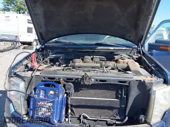 2010 Ford F-150 XL с VIN 1FTFW1EV5AFC42705, выставлен на аукционе IAAI как лот 43384600 с пробегом Не указан миль и . История ставок и продаж доступна на DreamBid. Изображение 10.