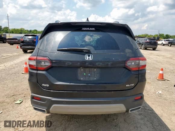 2023 Honda Pilot Elite with VIN 5FNYG1H84PB012565, listed as a Copart auction lot 67383915 with Not provided miles and Salvage title. Bid and sale history available at DreamBid. Image 6.