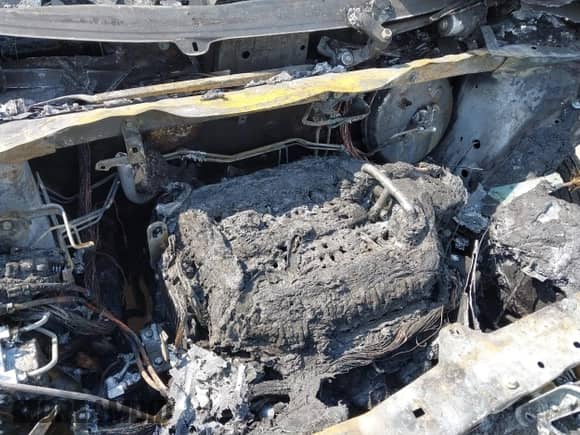 2020 Honda Pilot EX-L with VIN 5FNYF5H57LB026745, listed as a IAAI auction lot 41790750 with Not provided miles and . Bid and sale history available at DreamBid. Image 10.