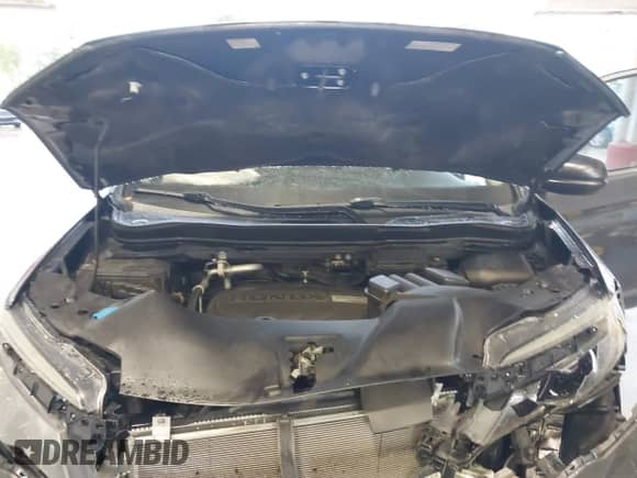 2017 Honda Pilot LX z VIN 5FNYF5H13HB012751, wystawiony jako IAAI lot #43380098 z przebiegiem 90 539 mil mil oraz . Historia ofert i sprzedaży dostępna na DreamBid. Obrazek 10.