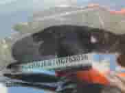 2017 Dodge Durango Citadel Anodized Platinum with VIN 1C4RDJEG7HC763036, listed as a Copart auction lot 64315125 with 107,696 mi miles and Clean title. Bid and sale history available at DreamBid. Image 13.