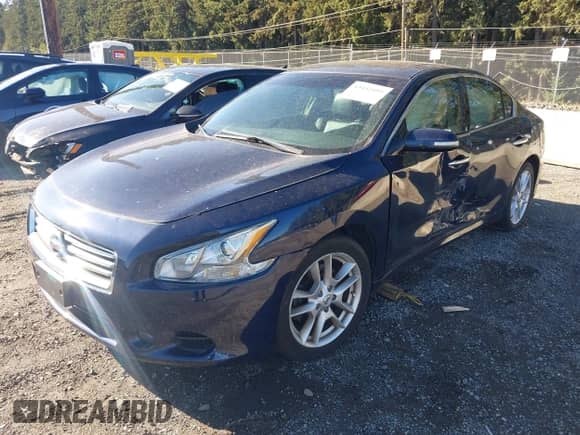 2014 Nissan Maxima SV with VIN 1N4AA5AP8EC438142, listed as a IAAI auction lot 43442495 with Not provided miles and . Bid and sale history available at DreamBid. Image 2.