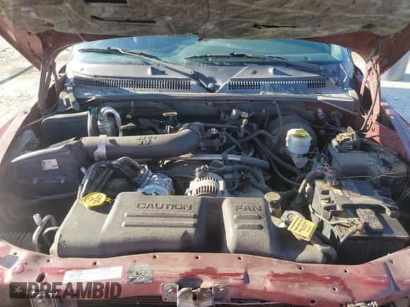 2000 Dodge Dakota Sport with VIN 1B7GG22N4YS610725, listed as a Copart auction lot 83965225 with 128,401 mi miles and Salvage title. Bid and sale history available at DreamBid. Image 11.