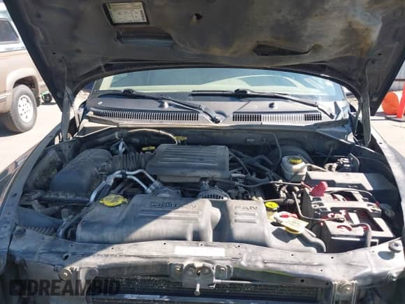 2001 Dodge Durango with VIN 1B4HS28N81F575080, listed as a IAAI auction lot 43089120 with 219,193 mi miles and . Bid and sale history available at DreamBid. Image 10.