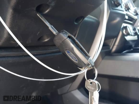 2017 Ford F-150 XL z VIN 1FTEW1CP7HKD14652, wystawiony jako IAAI lot #42835960 z przebiegiem 115 869 mil mil oraz . Historia ofert i sprzedaży dostępna na DreamBid. Obrazek 11.