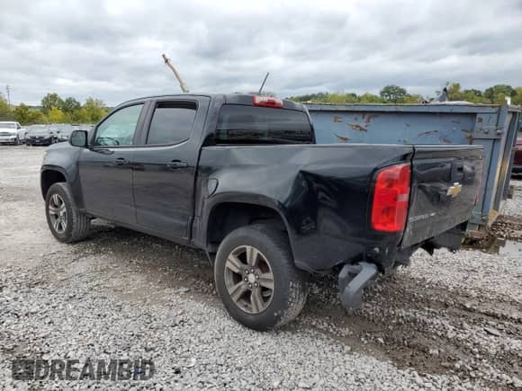2017 Chevrolet Colorado 2WD WT with VIN 1GCGSBEN4H1271982, listed as a Copart auction lot 73509014 with 123,810 mi miles and Salvage title. Bid and sale history available at DreamBid. Image 2.