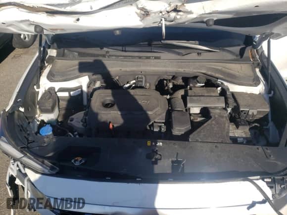 2020 Hyundai Santa Fe SE with VIN 5NMS2CADXLH214245, listed as a Copart auction lot 67223592 with 26,875 mi miles and . Bid and sale history available at DreamBid. Image 12.