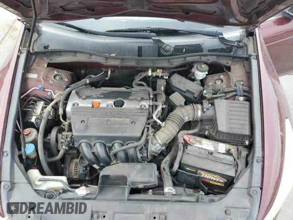 2009 Honda Accord LX with VIN 1HGCP26309A090507, listed as a Copart auction lot 81949965 with 194,960 mi miles and Salvage title. Bid and sale history available at DreamBid. Image 11.