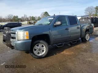 2007 Chevrolet Silverado 1500 LS with VIN 2GCEK13C671723040, listed as a Copart auction lot 42677995 with 250,614 mi miles and Salvage title. Bid and sale history available at DreamBid. Image 1.