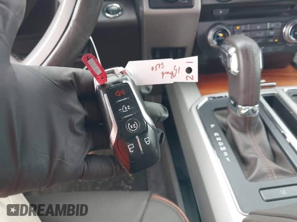 2015 Ford F-150 XLT z VIN 1FTEW1EF5FFB69427, wystawiony jako IAAI lot #42130485 z przebiegiem 132 866 mil mil oraz . Historia ofert i sprzedaży dostępna na DreamBid. Obrazek 11.