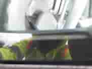 1981 Chevrolet Corvette z VIN 1G1AY8762BS409252, wystawiony jako IAAI lot #43573431 z przebiegiem 42 765 mil mil oraz . Historia ofert i sprzedaży dostępna na DreamBid. Obrazek 9.