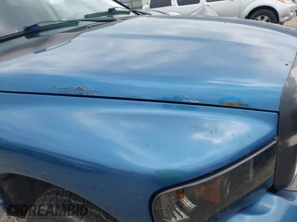 2002 Dodge 1500 with VIN 3D7HU18ZX2G209962, listed as a IAAI auction lot 42187205 with 166,284 mi miles and . Bid and sale history available at DreamBid. Image 14.