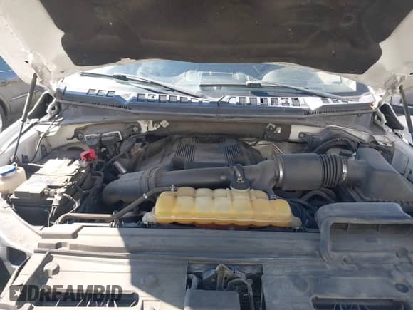 2017 Ford F-150 XL with VIN 1FTFW1EG5HKD98620, listed as a IAAI auction lot 42827611 with 243,174 mi miles and . Bid and sale history available at DreamBid. Image 10.