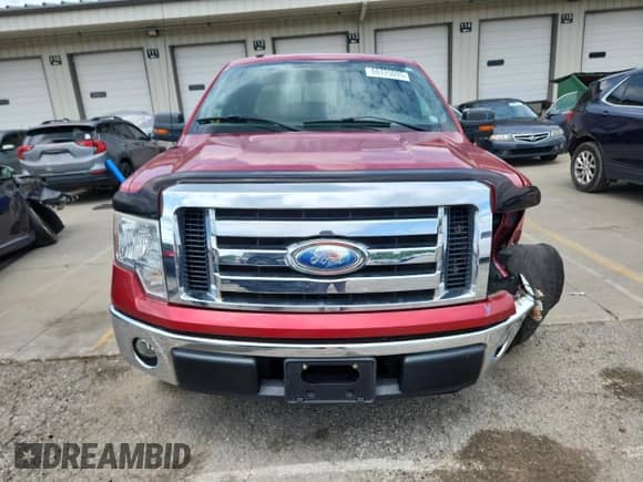 2009 Ford F-150 STX with VIN 1FTRX12849FA81638, listed as a Copart auction lot 60725095 with 169,311 mi miles and Salvage title. Bid and sale history available at DreamBid. Image 5.