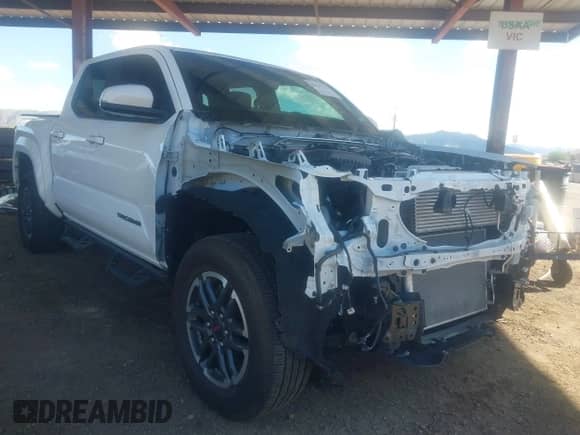 2024 Toyota Tacoma SR5 with VIN 3TMLB5JN2RM050911, listed as a IAAI auction lot 43169415 with 19,000 mi miles and . Bid and sale history available at DreamBid. Image 1.