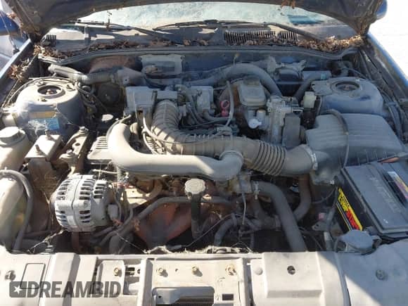 1996 Chevrolet Corsica с VIN 1G1LD5544TY236062, выставлен на аукционе IAAI как лот 41806175 с пробегом 171 137 миль миль и . История ставок и продаж доступна на DreamBid. Изображение 10.
