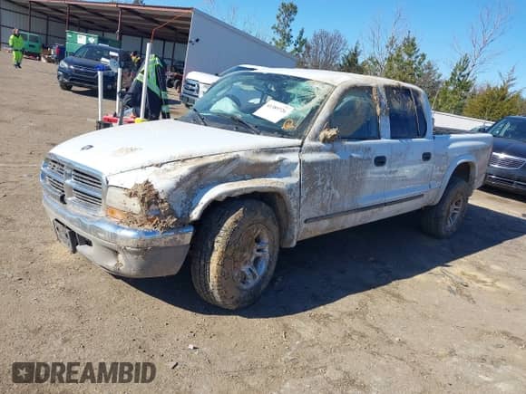 2004 Dodge Dakota SLT with VIN 1D7HL48K14S524636, listed as a IAAI auction lot 41389726 with 161,176 mi miles and . Bid and sale history available at DreamBid. Image 2.
