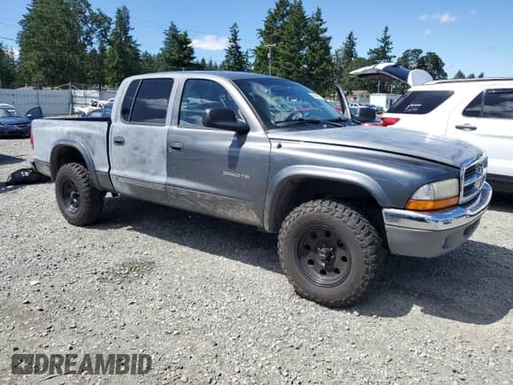 2002 Dodge Dakota SLT with VIN 1B7HG48N02S548464, listed as a Copart auction lot 58943135 with 239,081 mi miles and Salvage title. Bid and sale history available at DreamBid. Image 4.
