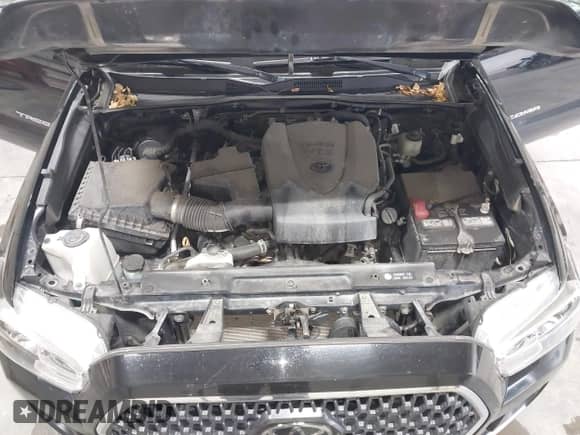 2019 Toyota Tacoma SR5 z VIN 5TFSZ5ANXKX174139, wystawiony jako IAAI lot #43035436 z przebiegiem 38 075 mil mil oraz . Historia ofert i sprzedaży dostępna na DreamBid. Obrazek 10.