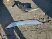 2018 Hyundai Accent Limited с VIN 3KPC34A39JE035147, выставлен на аукционе Copart как лот 60143795 с пробегом 13 412 миль миль и Списание • Salvage title. История ставок и продаж доступна на DreamBid. Изображение 12.