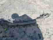 2015 Hyundai Elantra Sport с VIN KMHDH4AH9FU227092, выставлен на аукционе IAAI как лот 42867298 с пробегом 134 839 миль миль и . История ставок и продаж доступна на DreamBid. Изображение 12.