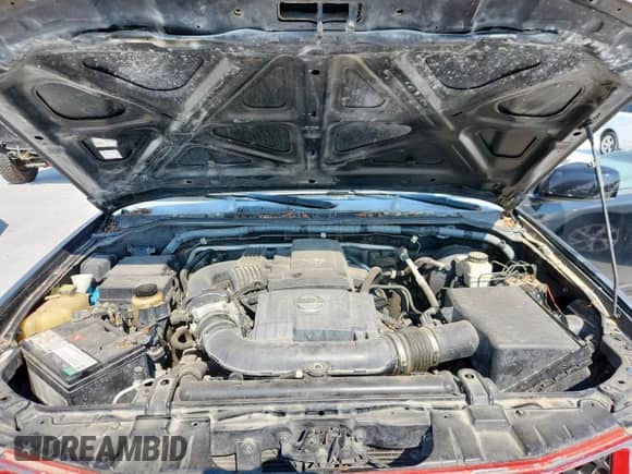 2005 Nissan Frontier LE с VIN 1N6AD07W05C413140, выставлен на аукционе Copart как лот 68471245 с пробегом 188 395 миль миль и Чистый • Clean title. История ставок и продаж доступна на DreamBid. Изображение 11.