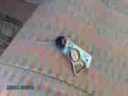 1997 Jeep Wrangler SE with VIN 1J4FY29P5VP426970, listed as a IAAI auction lot 43527663 with 93,293 mi miles and . Bid and sale history available at DreamBid. Image 10.