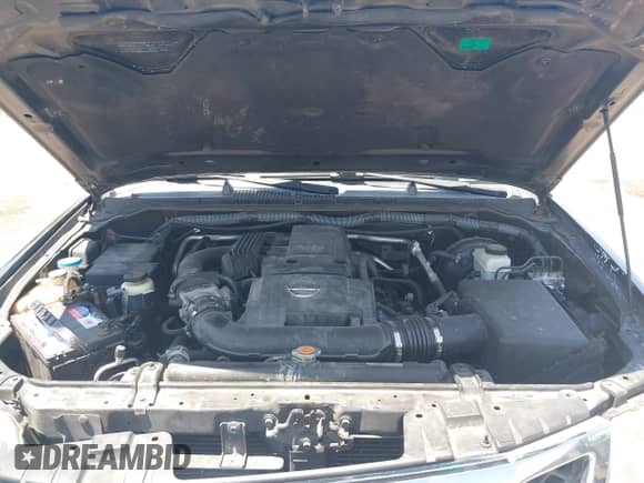 2010 Nissan Frontier SE with VIN 1N6AD0ER1AC419956, listed as a IAAI auction lot 42921056 with Not provided miles and . Bid and sale history available at DreamBid. Image 10.