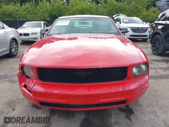 2005 Ford Mustang Deluxe с VIN 1ZVFT80N355177998, выставлен на аукционе IAAI как лот 42837004 с пробегом 140 443 миль миль и . История ставок и продаж доступна на DreamBid. Изображение 12.