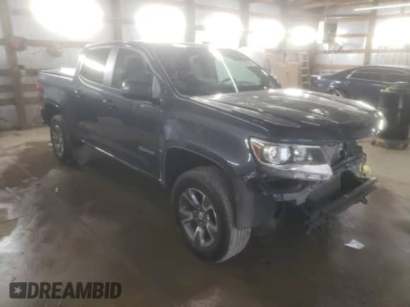 2019 Chevrolet Colorado 2WD Z71 with VIN 1GCGSDEA8K1202423, listed as a Copart auction lot 81507604 with 57,421 mi miles and Salvage title. Bid and sale history available at DreamBid. Image 4.