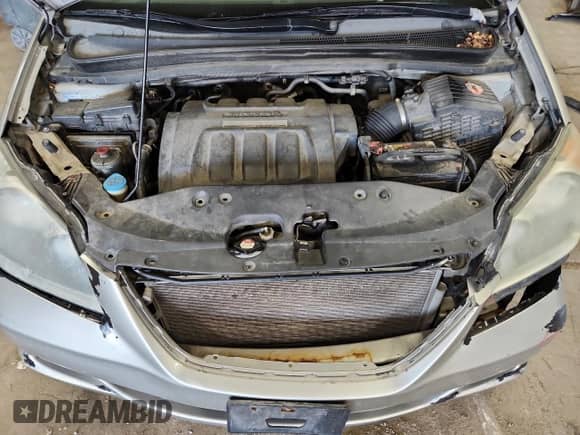 2007 Honda Odyssey EX-L с VIN 5FNRL38707B119874, выставлен на аукционе Copart как лот 82385185 с пробегом 221 416 миль миль и На запчасти • Non repairable. История ставок и продаж доступна на DreamBid. Изображение 12.