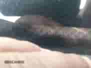 2013 Honda Odyssey LX с VIN 5FNRL5H21DB045621, выставлен на аукционе IAAI как лот 43204838 с пробегом 254 632 миль миль и . История ставок и продаж доступна на DreamBid. Изображение 17.