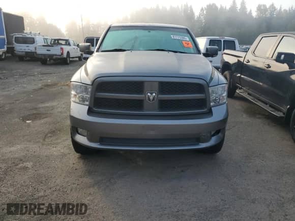 2009 Dodge 1500 SLT with VIN 1D3HV13T79S789918, listed as a Copart auction lot 81775385 with 300,326 mi miles and Salvage title. Bid and sale history available at DreamBid. Image 5.