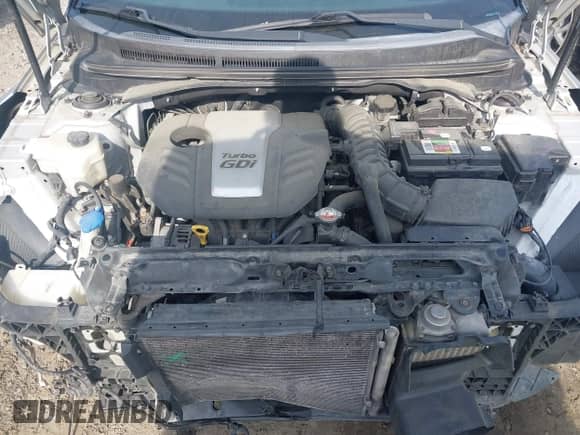 2013 Hyundai Veloster Turbo с VIN KMHTC6AE4DU157798, выставлен на аукционе IAAI как лот 42001561 с пробегом 163 370 миль миль и . История ставок и продаж доступна на DreamBid. Изображение 10.