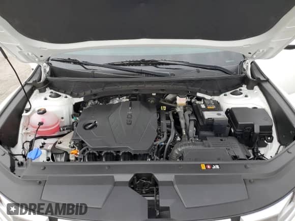 2024 Hyundai Santa Cruz SE z VIN 5NTJA4AE1RH086665, wystawiony jako Copart lot #71381004 z przebiegiem 29 505 mil mil oraz Szkoda całkowita • Salvage title. Historia ofert i sprzedaży dostępna na DreamBid. Obrazek 12.