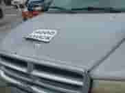1998 Dodge Dakota SLT с VIN 1B7GL22X2WS677463, выставлен на аукционе IAAI как лот 43185225 с пробегом 218 259 миль миль и . История ставок и продаж доступна на DreamBid. Изображение 13.