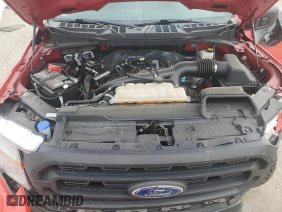 2021 Ford F-150 XL с VIN 1FTMF1EP6MKE21369, выставлен на аукционе Copart как лот 55509275 с пробегом 43 789 миль миль и Списание • Salvage title. История ставок и продаж доступна на DreamBid. Изображение 11.