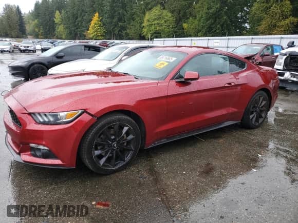2017 Ford Mustang EcoBoost Premium с VIN 1FA6P8TH3H5231209, выставлен на аукционе Copart как лот 89716665 с пробегом 110 664 миль миль и Чистый • Clean title. История ставок и продаж доступна на DreamBid. Изображение 1.