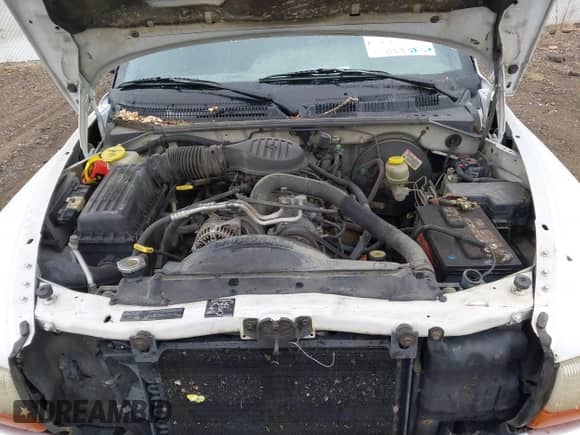 1998 Dodge Dakota SLT z VIN 1B7GG22Y0WS579450, wystawiony jako IAAI lot #43088532 z przebiegiem 279 555 mil mil oraz . Historia ofert i sprzedaży dostępna na DreamBid. Obrazek 10.