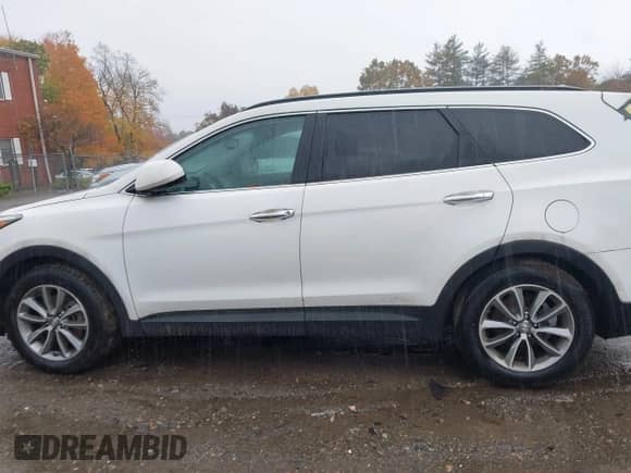 2017 Hyundai Santa Fe SE with VIN KM8SM4HF3HU182998, listed as a IAAI auction lot 43434656 with 115,094 mi miles and . Bid and sale history available at DreamBid. Image 14.