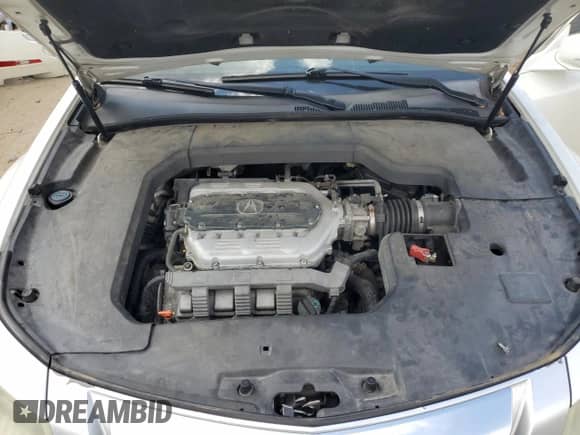 2009 Acura TL Technology с VIN 19UUA86559A021175, выставлен на аукционе Copart как лот 70744355 с пробегом Не указан миль и Списание • Salvage title. История ставок и продаж доступна на DreamBid. Изображение 11.