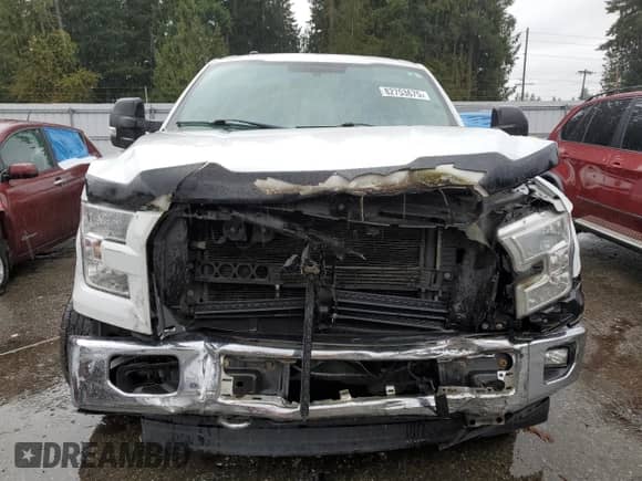 2017 Ford F-150 XLT with VIN 1FTFW1EF5HFB26519, listed as a Copart auction lot 82753675 with 134,315 mi miles and Salvage title. Bid and sale history available at DreamBid. Image 5.