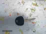 2007 Hyundai Santa Fe SE z VIN 5NMSH73E17H075477, wystawiony jako IAAI lot #42881277 z przebiegiem 284 592 mil mil oraz . Historia ofert i sprzedaży dostępna na DreamBid. Obrazek 11.