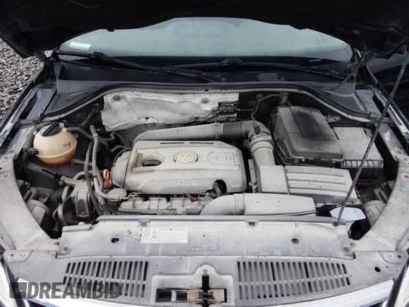 2009 Volkswagen Tiguan SE с VIN WVGBV75N99W532103, выставлен на аукционе Copart как лот 62581385 с пробегом 210 169 миль миль и Чистый • Clean title. История ставок и продаж доступна на DreamBid. Изображение 7.