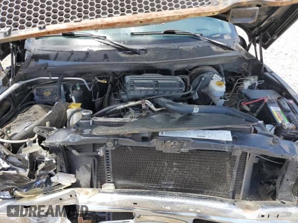 1998 Dodge 1500 с VIN 1B7HC16Y6WS769225, выставлен на аукционе Copart как лот 60629455 с пробегом 109 915 миль миль и Списание • Salvage title. История ставок и продаж доступна на DreamBid. Изображение 11.